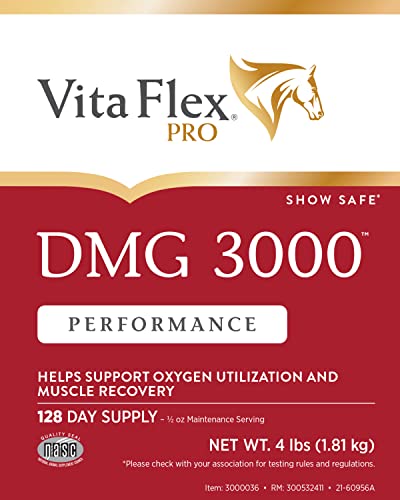 Pro DMG 3000 Horse DMG Concentrate, 4 Pounds, 128-Day Supply - Image 5