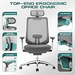 COLAMY Ergonomic Mesh Office Chair, High Back Office Chair, Computer Executive Desk Chair with Lumbar Support,Adjustable Headrest and 4D Arms, Slide Seat, Tilt Lock-Darkgrey New - Image 4