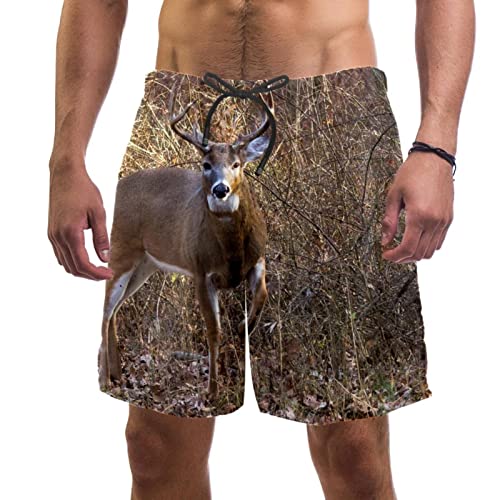 Short de plage à séchage rapide JDEZ pour homme, confort aquatique garanti