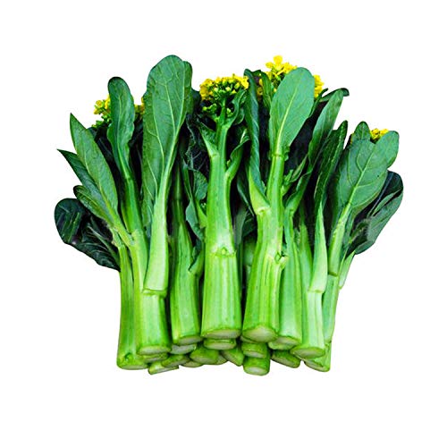 Choy Sum Seeds, Brassica Campestris Organic Seeds for Planting Vegetables, Pack of 500 Seeds