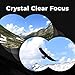 Wingspan Optics FieldView 8X32 Compact Binoculars for Bird Watching. Lightweight and Compact for Hours of Bright, Clear Bird Watching. Also for Outdoor Sports Games and Concerts