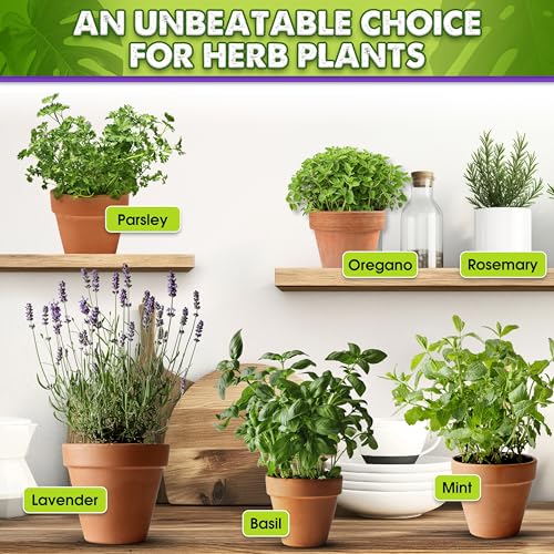 DUSPRO Recycle Pre-Mixed House Plant Potting Mix 7in1 with Potting Soil Indoor Plants, Tropical Indoor Potting Soil with Pine Bark, Pumice, Coco Coir, Perlite, Worm Castings, Gypsum, Peat Moss 1QRT