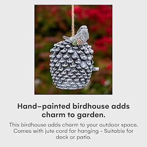 Dawhud Direct Hanging Bird Houses for Outside Hand Painted Bird Houses for Outdoors Decorative Birdhouses Pinecone Solid Made for Bluebirds Sparrows Chickadees and Purple Martins