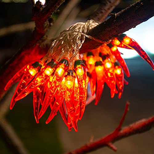 Guirlande lumineuse USB 80 LED piment rouge pour décoration festive
