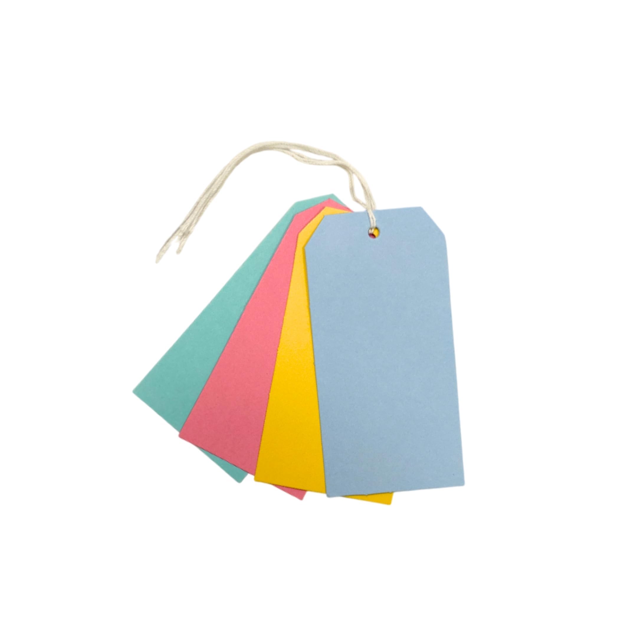 Pack Of 30 Assorted Colour Luggage Strung Tags 60 X 120mm from B&Q