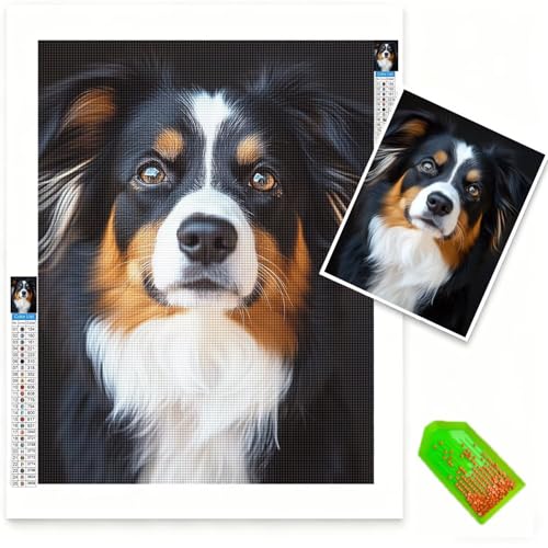 Broderie Diamant Peinture Kit contre le stress : créez votre Diamond Painting