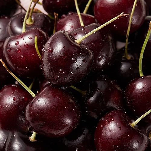 20 pcs Kirschbaum Samen, Exotische Früchte, Hochbeet Balkon (Prunus