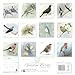 Chris Pendleton Garden Birds Wall Calendar 2026 (Art Calendar)