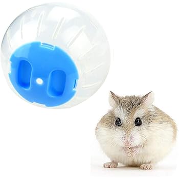 dwarf hamster wheel