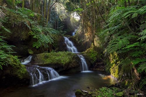 Ep. 176 Holy Listening With Breath, Body and the Spirit copertina