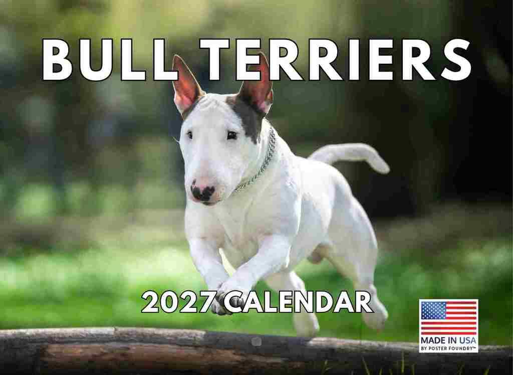 Bull Terrier Calendar 2025 Monthly Wall Calender 12 Month | American Made In The USA — image 1