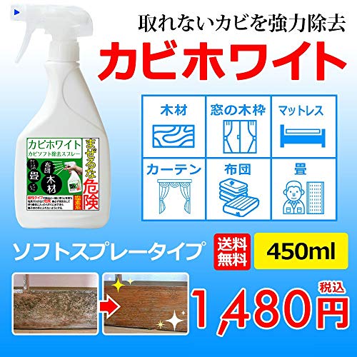 マットレスのカビ取りをする4つの方法 カビの悪影響について