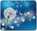 Dandelion Mouse Pad,Dandelion MousePad By VIVIPOW(TM)