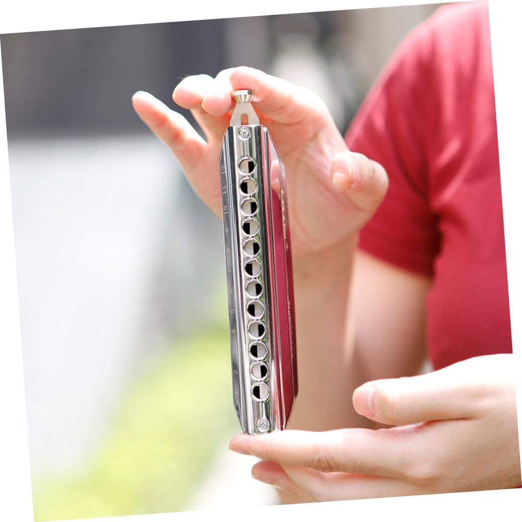 Homoyoyo Silver 12-hole 48-tone Half-step Harmonica Musical Instrument for Beginners and Professionals, Wind Instrument for Students and Adults, Key of C Mouth Organ for Folk and World