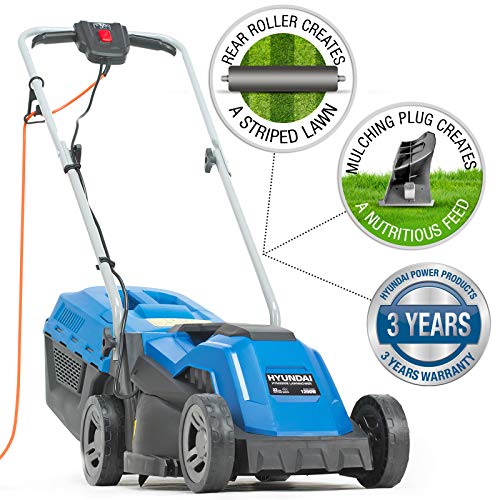 Best Electric Lawn Mower With A Roller For Stripes In 2020 2021
