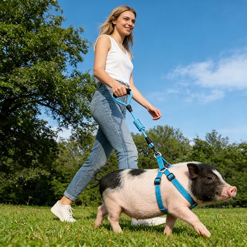 Image of Mini Pig Harness, Adjustable Small Pig Harness with Leash Infinity Style Lead and Soft Foam Handle for Small to Medium Pet Pigs Walking Training Jogging (Blue, L)
