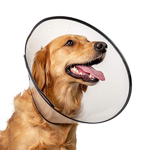 Image of Calm Paws Basics Protective Recovery E-Collar for surgeries for Medium Dogs