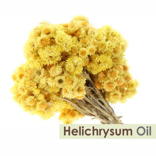 Image of Crysalis Helichrysum Italicum 100% Pure & Natural Undiluted Essential Oil - Organic Standard for Aromatherapy, Skin, Hair & Body Care - 30ML With Dropper