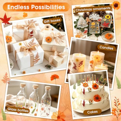 Image of 170 PCS Fall Dried Pressed Flowers with Tweezers, Real Nature Dried Flowers Orange Autumn Pressed Florals Set for Resin Scrapbooking Vase Candle Making Card Scrapbook Craft Floral Decors