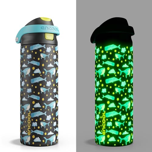 Image of ENCOOL Leakproof Insulated Water Bottle with Straw Dual-Sip Water Bottle Bag-Safe Design for Work, Commute & Gym - Keeps Drinks Cold All Day, 24 oz, Sky Whale