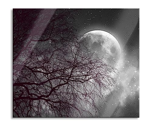 Pixxprint B&W Detail Plaque de recouvrement de cuisinière et protection anti-éclaboussures en verre véritable pour plaques de cuisson 60 x 52 cm