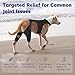 Pawfun Dog Knee Brace for Torn ACL Hind Leg- Dog Leg Support Brace with Metal Stabilizers for Torn CCL, Limping, Luxating Patella, Ligament Injuries, Hip Dysplasia& Arthritis,XXL&Vest5