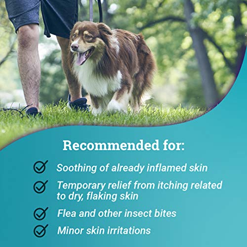 Relief Shampoo, Temporary Relief Of Itching And Flaking, Moisturizer For Dry Skin And Coat, For Dogs, Cats And Horses, 8 Oz #TOP2