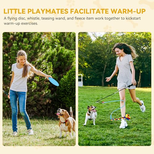 image for DWVO Dog Agility Accessories Kit: Comprises of a Teaser Pole, 2 Hurdle