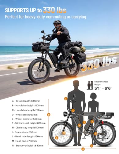 Image of Jasion RetroVolt Max Electric Bike, Dual Battery, 150-Mile Range, Fat Tire
