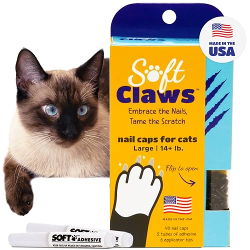 Image of Soft Claws Feline Cat Nail Caps Take-Home Kit,Large,Black