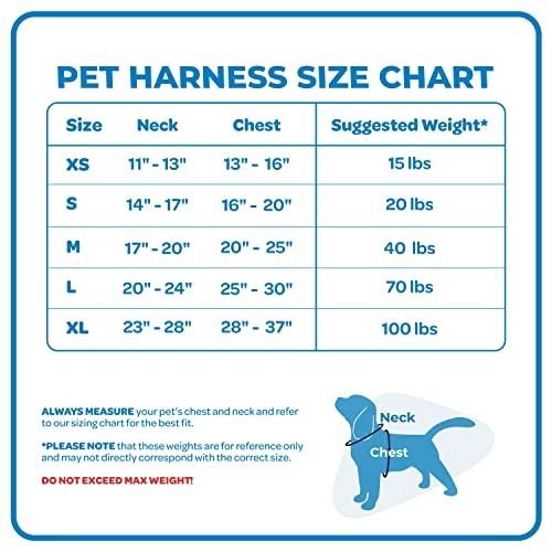 Air Frontier Mesh Dog Harness With Steel Leash D-Ring, Reflective Stitching, And Lightweight Breathable No-Pull Design, Adjustable Neck And Chest Straps For Small To Large Breeds - Fsw, M #TOP5