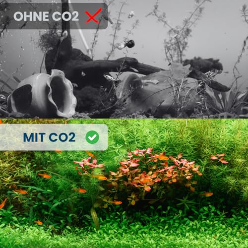 Q-Grow CO2 Diffusor Aquarium aus Edelstahl, mit wechselbarer Keramikscheibe, inkl. 2m Schlauch - Variable Länge