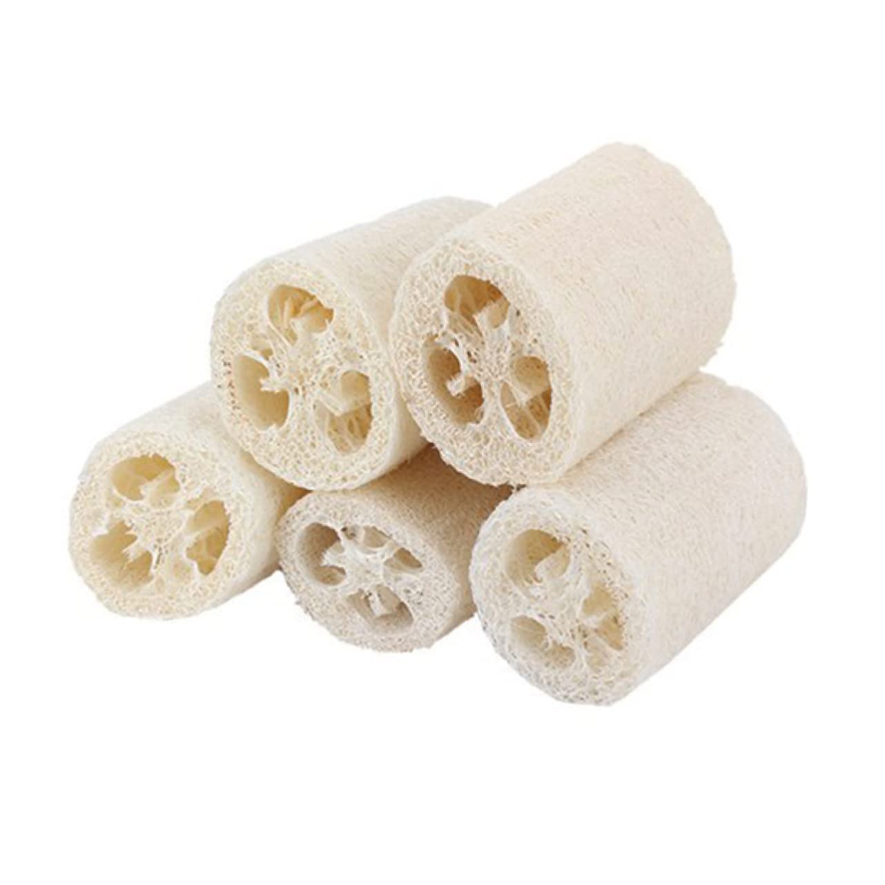 Housoutil 3er-set Badeschwamm Natürlicher Luffa-schwamm für und Bad Peeling-körperwäscher Sanfter Schwamm 5 Stück * 3