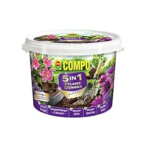Compo 5in1 Pflanz-Dünger und mehr für alle Zimmer-, Balkon- und Gartenpflanzen, 6 Monate Langzeitwirkung, 1,5 kg