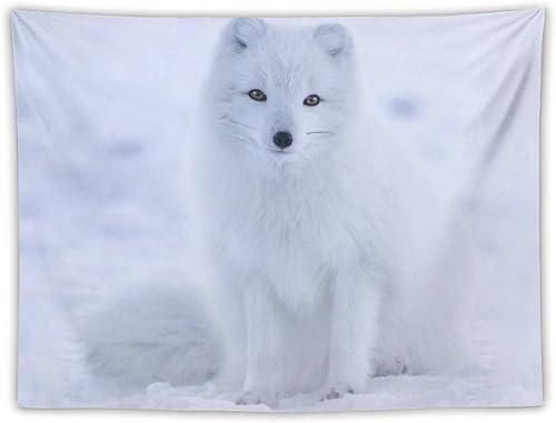 Miniatura 9 de Arctic Fox in The Snow - Divertido tapiz decorativo para colgar en la pared, manta de telón de fondo para dormitorio, sala de estar y dormitorio