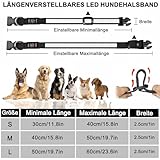 Nepfaivy Leuchthalsband Hund USB Aufladbar - Hundehalsband Leuchtend mit Verstellbarer Länge für Mittelgroße bis Große Hunde, LED Halsband Hund 6 Farbwechsel für Nacht Sicherheit(Mehrfarbig-M)