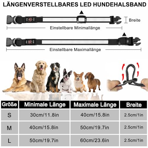 Nepfaivy Leuchthalsband Hund USB Aufladbar - Hundehalsband Leuchtend mit Verstellbarer Länge für Mittelgroße bis Große Hunde, LED Halsband Hund 6 Farbwechsel für Nacht Sicherheit(Mehrfarbig-M)