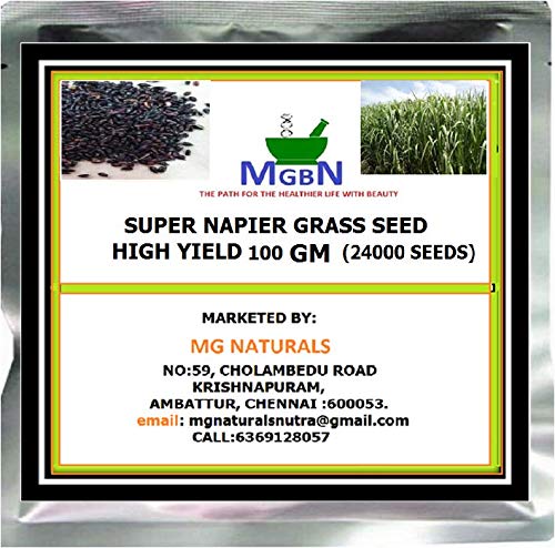 See full amazon price history chart for Mgbn The Path For The Healthier Life With Beauty Super Napier Grass Seed High Yield -100 Gm (24000 Seeds) Mgbn The Path For The Healthier Life With Beauty Super Napier Grass Seed High Yield -100 Gm (24000 Seeds) (B0811PDP46) Amazon Price History, Amazon Price Tracker