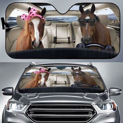 Pare-soleil voiture pliable contre volant brûlant pour intérieur SUV