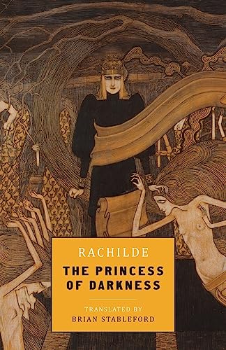 Cover of The Princess of Darkness