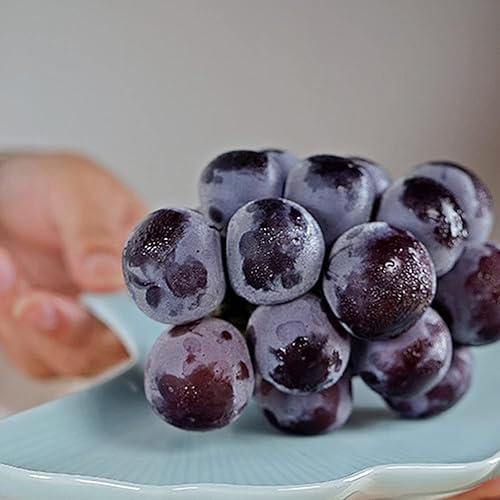 Miniatura 7 de Moldes de silicona, 3 piezas de hojas de molde de silicona hojas de molde de fundición bandeja de moldes de bandeja de bricolaje posavasos bandeja