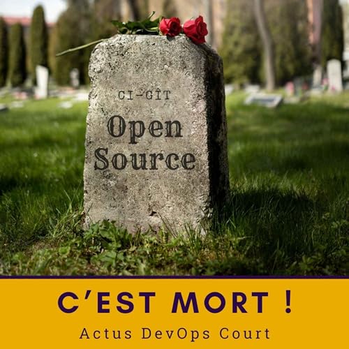 🪦 L&rsquo;open source d&rsquo;entreprise est mort ! | ADO Court