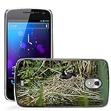 Grand Phone Cases Hard plastica indietro Case Custodie Cover pelle protettiva Per // M00142347 Oiseau Foulque eau Nest Race Bach // Samsung Galaxy Nexus GT i9250 i9250