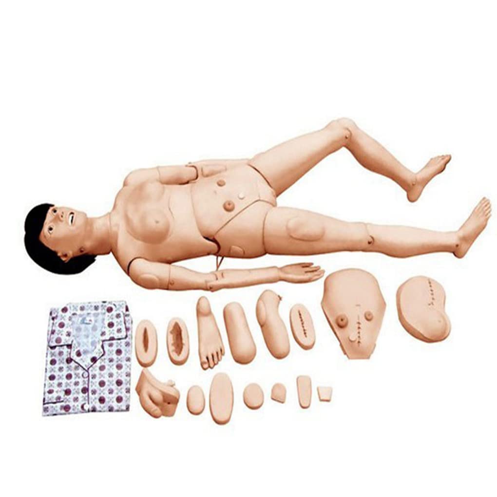 Modello di formazione per la cura del paziente - Manichino umano per l'educazione infermieristica, 160 cm, 25 tipi di procedure mediche, forniture di laboratorio di apprendimento multifunzionale