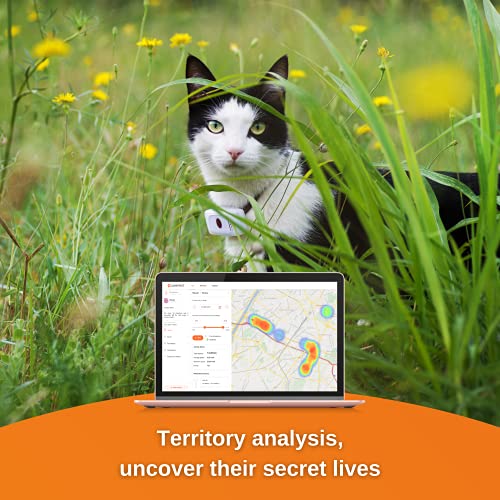 Weenect Cats 2 - GPS tracker for cats | Real-time GPS tracking | No distance limit | Smallest tracker on the market | Subscription required - Image 6