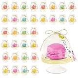 24 x Mini Cake Domes Alice in Wonderland Tea Party Decorations Set Whimsical Party Favors, Mad Hatter Macaron Table Props Kids Birthdays Bridal Showers Baby Shower Decor Bridgerton Wedding favour
