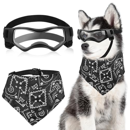 Hundebrille für Kleine Hunde, Wasserdicht Hundeschutzbrille mit Hundehalstuch, Verstellbare, UV-beständige, windabweisende Schutzbrille, Motorradbrille für Kleine Mittelgroße Hunde Hundebrille für Kleine Hunde, Wasserdicht Hundeschutzbrille mit Hundehalstuch, Verstellbare, UV-beständige, windabweisende Schutzbrille, Motorradbrille für Kleine Mittelgroße Hunde