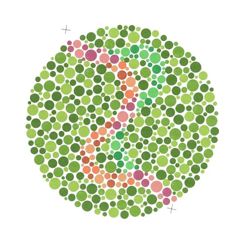 Generic Ishihara 38 Plate Color Deficiency Test Book - Image 5