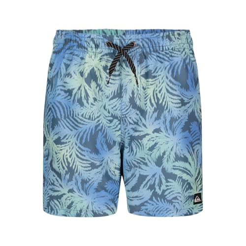 Quiksilver Boys' Volley Swim Trunks with UPF 50+ Sun Protection, Quick Dry Bathing Suit Shorts