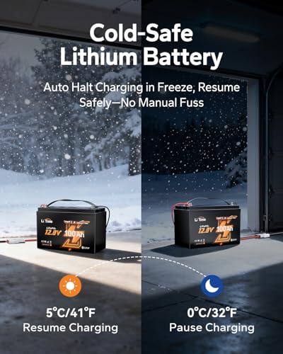 Image of Litime 12V 100Ah LiFePO4 Battery Bluetooth, 12 Volt Group 31 Trolling Motors Lithium Battery, Up to 15000 Deep Cycles, Low-Temp Protection for Boat, Marine, Yacht, Electric Outboard Motors (3-Pack)